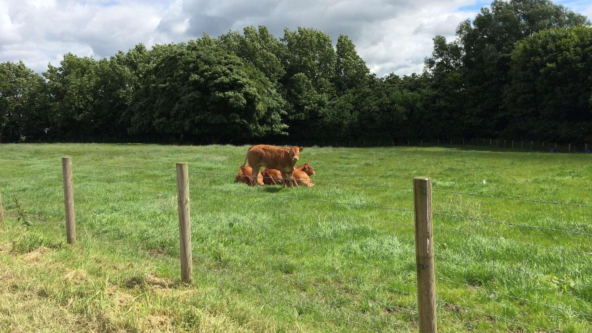 A Trip to Bamfurlong in 2016 Photo 1
